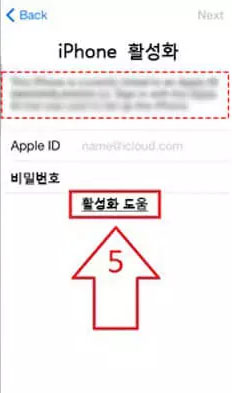 DNS 설정