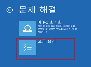    고급 옵션 선택
