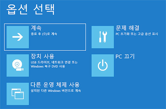 문제 해결 옵션 선택