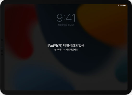 아이패드 비활성화