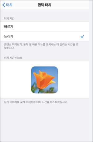 아이폰 잠금 화면 손전등 없애기