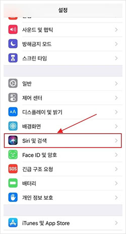 Siri 검색 제안 끄기 & Siri Look up