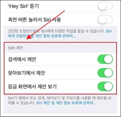 Siri 검색 제안 끄기 & Siri Look up